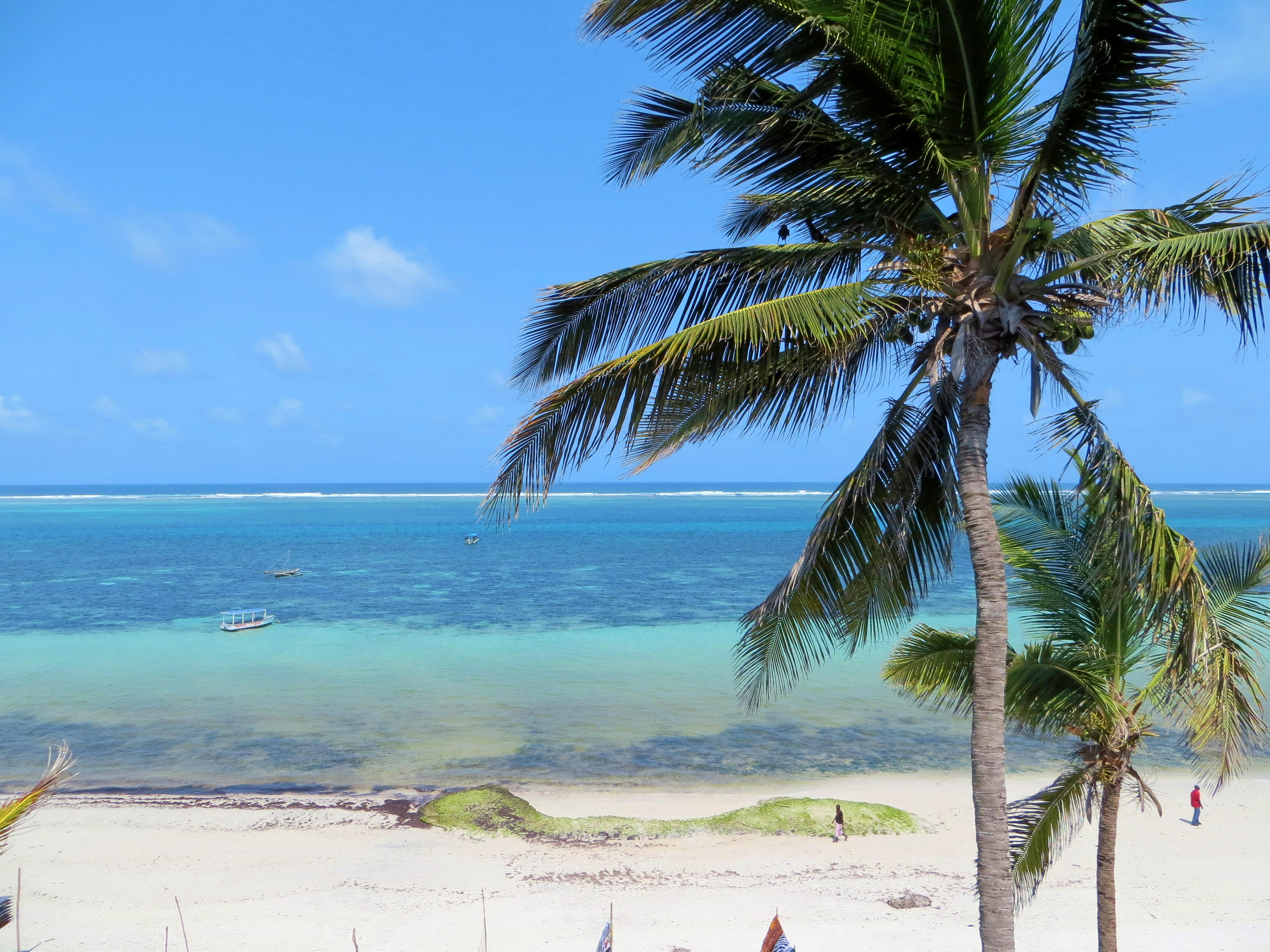 Golden dawn over the Indian Ocean with palm trees and a quiet beach